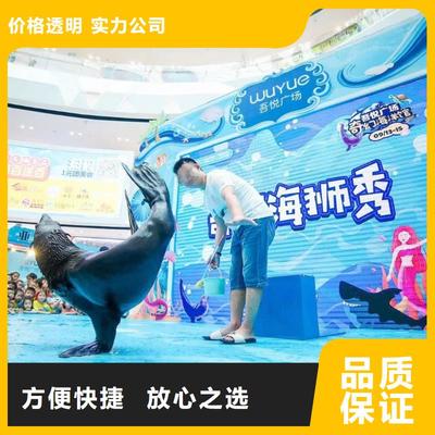 南安市分公司 專業出租表演鸚鵡，打造難忘動物展覽體驗